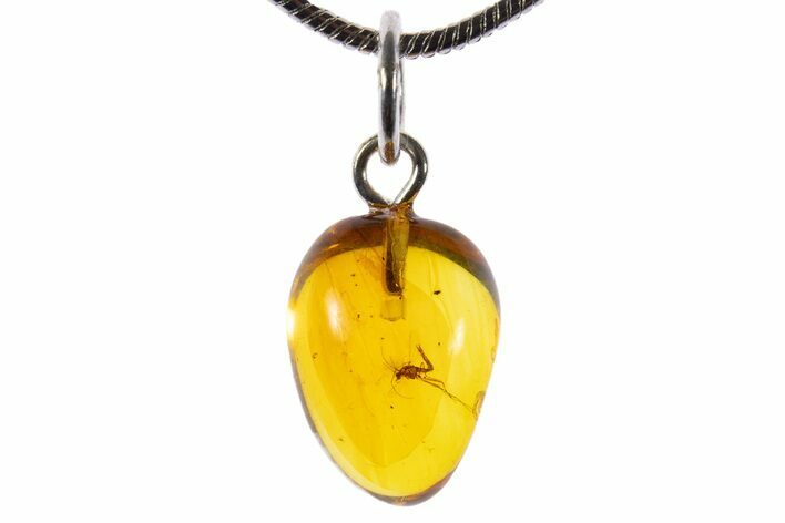Polished Baltic Amber Pendant (Necklace) - Contains Fly! #339610